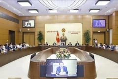 Lors de la 52e session du Comité permanent de l’AN. Photo : VNA