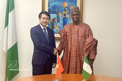 Le vice-ministre vietnamien des Affaires étrangères, Le Anh Tuan (gauche), et le secrétaire permanent du ministère nigérian des Affaires étrangères, Dunoma Umar Ahmed. Photo / VNA
