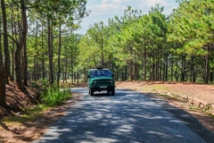 Đà Lạt est la deuxième destination la plus recherchée, grâce à ses nombreuses activités culturelles et de divertissement animées pendant les fêtes du Nouvel An. Photos ; baolamdong.vn