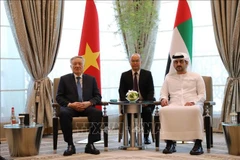 Le vice-Premier ministre permanent Nguyen Hoa Binh (gauche) et e vice-Premier ministre et ministre des Finances des EAU, Maktoum bin Mohammed bin Rashid Al Maktoum. Photo : VNA