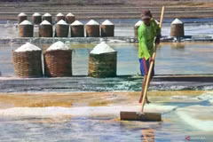 Un agriculteur récoltant du sel dans la zone des étangs salés du village de Kedungmalang, Jepara, centre de Java, le 30 juillet 2024. (Photo : Antara)
