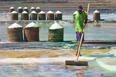 Un agriculteur récoltant du sel dans la zone des étangs salés du village de Kedungmalang, Jepara, centre de Java, le 30 juillet 2024. (Photo : Antara)