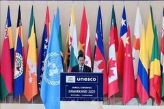 Le vice-ministre des Affaires étrangères Ngô Lê Van. Photo : VNA