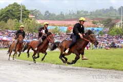 Course hippique lors de la finale du Tournoi élargi de courses de chevaux traditionnelles de Bắc Hà (Lào Cai). Photo : VNA