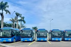 La première ligne de bus électrique sera inaugurée à Con Dao en décembre. (Photo d'illustration : SGGP)