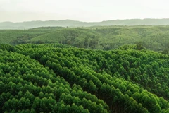Photo : JKP