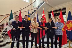 Les chefs des missions diplomatiques des pays membres de l'ASEAN au Mexique posent pour une photo de groupe. Photo : VNA