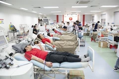 Des jeunes donnent leur sang à l'Institut national d'hématologie et de transfusion sanguine de Hanoï. (Photo : NIHBT)