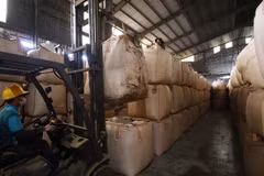 Des grains de café stockés dans un entrepôt de la province de Gia Lai. — Photo VNA/VNS