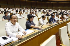 L'Assemblée nationale approuve une résolution modifiant la Constitution de 2013. Photo : VNA