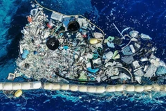 La pollution plastique marine prend de plus en plus d'ampleur. (Photo : Wired)