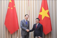 Le vice-ministre permanent des Affaires étrangères et secrétaire général du Comité directeur pour la coopération bilatérale Vietnam-Chine Nguyên Minh Vu (droite) et e vice-ministre chinois des Affaires étrangères et secrétaire général du Comité directeur pour la coopération bilatérale Chine-Vietnam, Sun Weidong. Photo : VNA