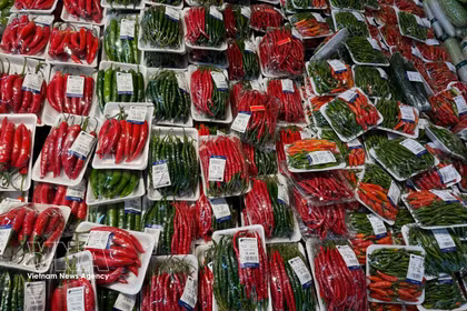 Le piment figure parmi les huit produits essentiels en Indonésie. Photo : VNA