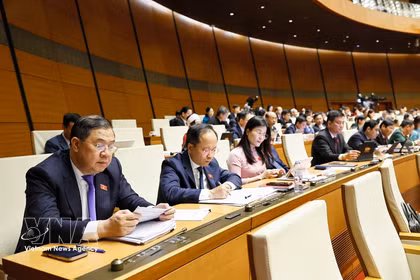 Députés lors de la remière session non ordinaire de la 16e législature de l'Assemblée nationale. Photo: VNA