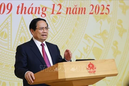 Le Premier ministre Pham Minh Chinh lors de la réunion. Photo: VNA