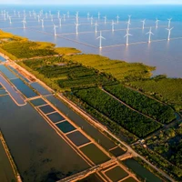 En Asie du Sud-Est, le Vietnam est l’un des premiers pays à avoir choisi la voie de la croissance verte. Photo : TNMT