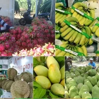 Le Premier ministre ordonne des mesures proactives pour stimuler la consommation de produits agricoles. Photo : VNA