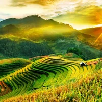 Mu Cang Chai. Photos: Internet
