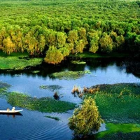 Vue aérienne de la forêt d’U Minh Ha. Photo : diadiemdulichvn