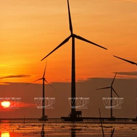 Le parc éolien de Bac Liêu, le plus grand projet éolien du pays, est située sur une vaste zone alluviale de la commune Vinh Trach Dông. Photo: VNP