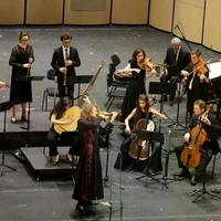 Une représentation de l'Orchestre symphonique de l’Opéra royal de Versailles, le 21 avril au Théâtre Hô Guom, à Hanoï. Photo : Tuôitre