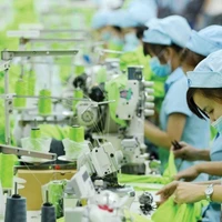 Pour s’adapter aux évolutions et assurer leur croissance, les entreprises doivent s’engager dans la transition verte. Photo d’illustration: Thanhtra