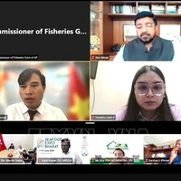 Le conseiller commercial Bui Trung Thuong s'exprime lors du webinaire, le 28 mai 2025. Photo: VNA