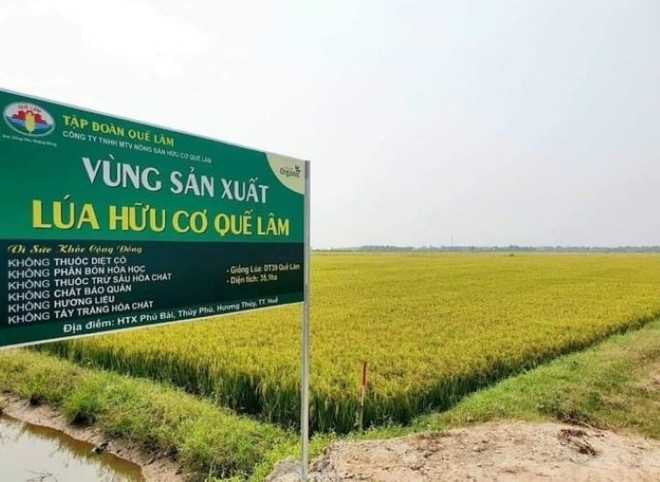 Huê privilégie le développement agricole fondé sur les hautes technologies, l’agriculture biologique et les chaînes de valeur intégrées, en lien avec les marchés de consommation, tout en s’adaptant au changement climatique et en protégeant l’environnement. Photo : Vneconomy agriculture-biologique.jpg