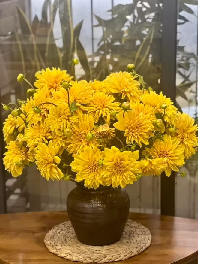 chrysanthemes.jpg