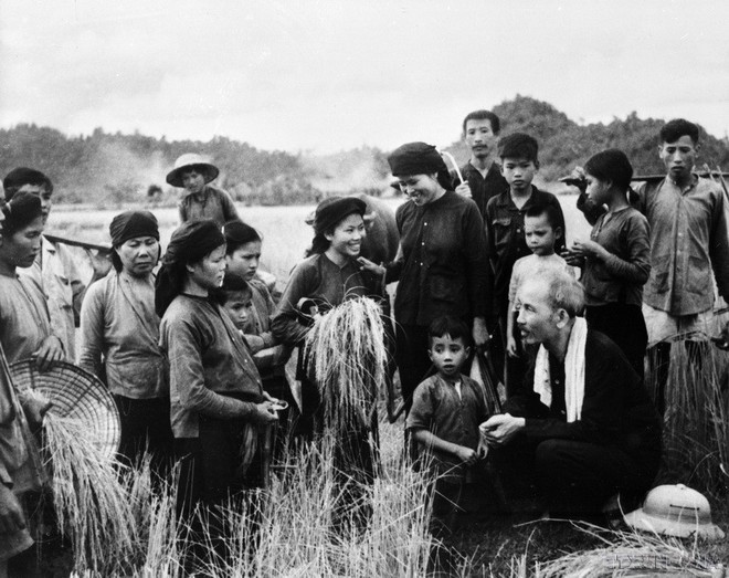 Le président Hô Chi Minh rend visite aux agriculteurs de la province de Thai Nguyen pendant la saison de la récolte du riz. Photo : VNA le-president-ho-chi-minh-rend-visite-aux-agriculteurs-de-thai-nguyen.jpg