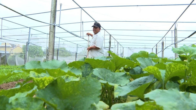 L’agriculture représente environ 33% des émissions de gaz à effet de serre au Vietnam. Photo : VNA agriculture.jpg