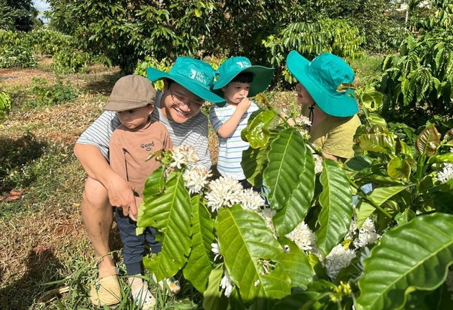Une visite à la ferme de café de Rây Nhà Si. Photo: VOV ferme-de-cafe-de-ray-nha-si.jpg