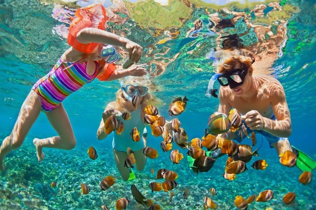 Phu Quôc possèdent des récifs de corail colorés, très appréciés des touristes nationaux et étrangers. Les touristes peuvent admirer les coraux à Hon Thom, Hon Roi, Hon Dam, Hon Dua... dans l'île d’An Thoi. Photo: VietnamPlus coraux-phu-quoc.jpg