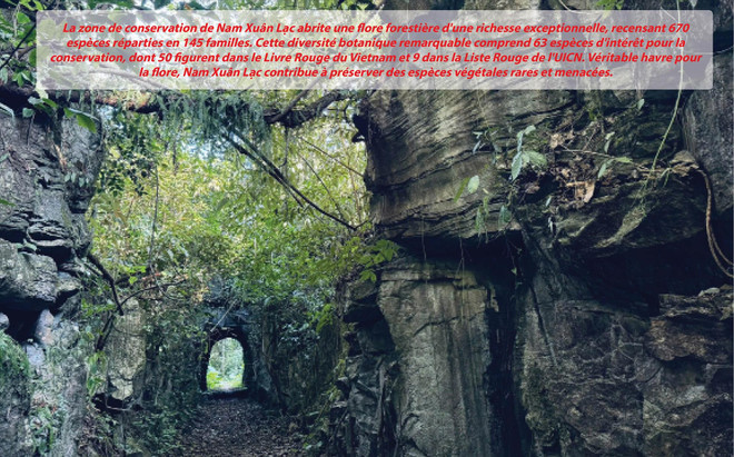 zone-de-conservation-nam-xuan-lac.jpg