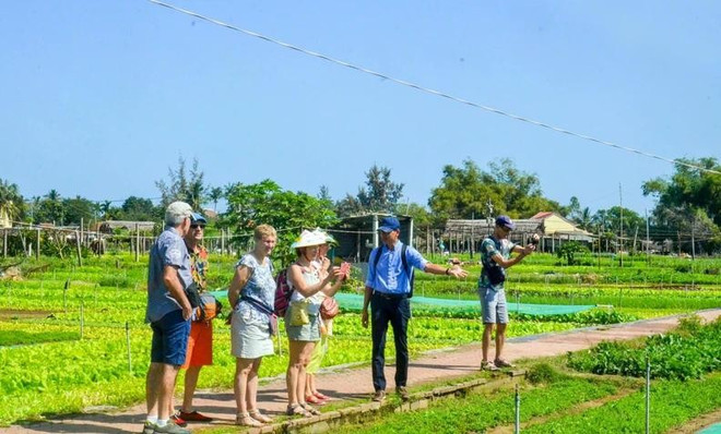 village-de-legumes-de-tra-que.jpg