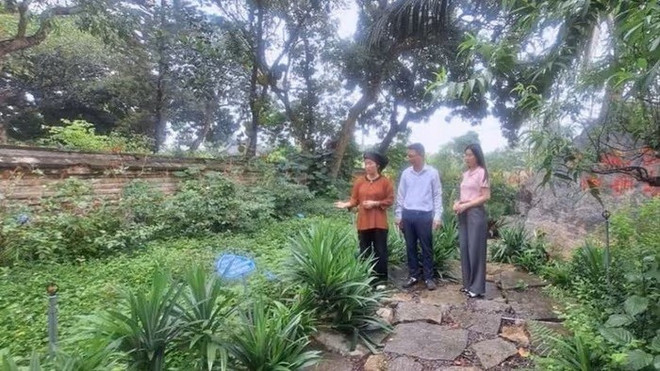 Le jardin de plantes médicinales dans l'enceinte du temple Nguyên dans la commune de Tiên Thang, district de Gia Viên, province de Ninh Binh. jardin-de-plantes-medicinales.jpg
