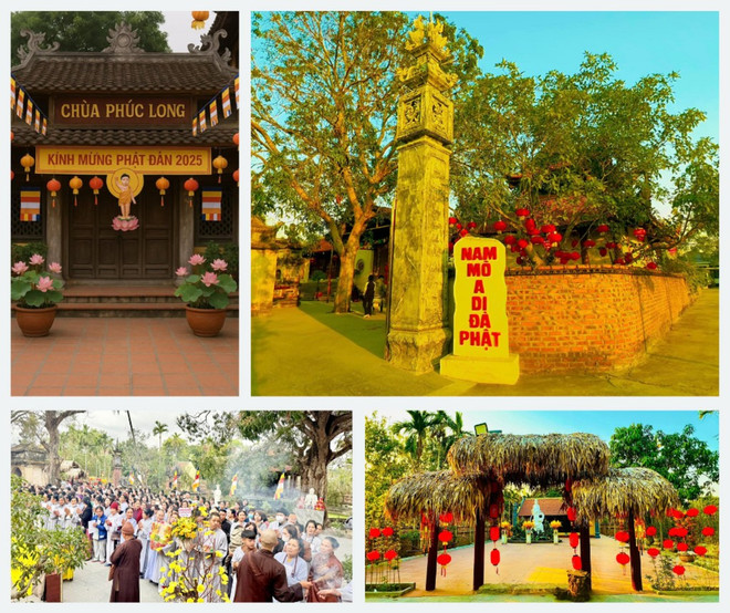 La pagode Phuc Long dans la province de Hai Duong. Photo : NVCC/CVN pagode-phuc-long.png
