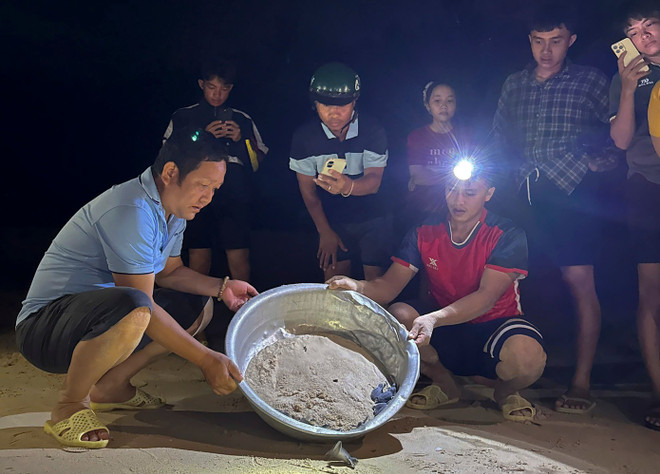 Photo : commune de Nhon Châu tortues-nhon-chau-2723.jpg
