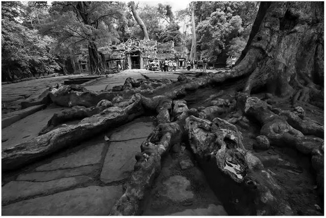 «Traces du temps». Photo : Nguyên Thu Dung photo-nguyen-thu-dung.jpg