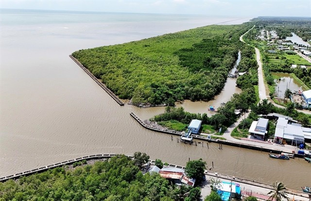 L'estuaire de Huong Mai, dans la commune d'U Minh, province de Cà Mau, est renforcé par des digues centrifuges précontraintes pour protéger les forêts brise-vent intérieures. Photo : VNA huong-mai.jpg