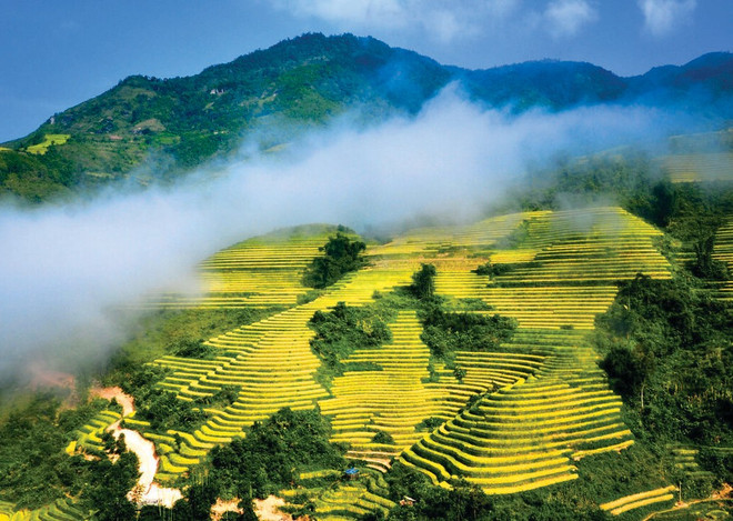 Les spectaculaires rizières en terrasses à Sapa fascinent les touristes. Photo: VNA les-spectaculaires-rizieres-en-terrasses-a-sa-pa-fascinent-les-touristes.jpg