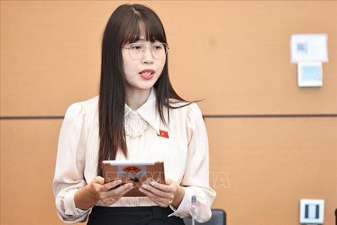La députée Trân Thi Quynh, de la délégation parlementaire de Ninh Binh, lors du débat en groupe. Photo: VNA tran-thi-quynh-ninh-binh.jpg