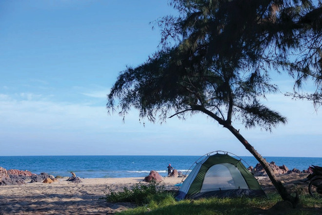Une plage sauvage à Mui Né. Photo : CTV une-plage-sauvage-a-mui-ne.jpg