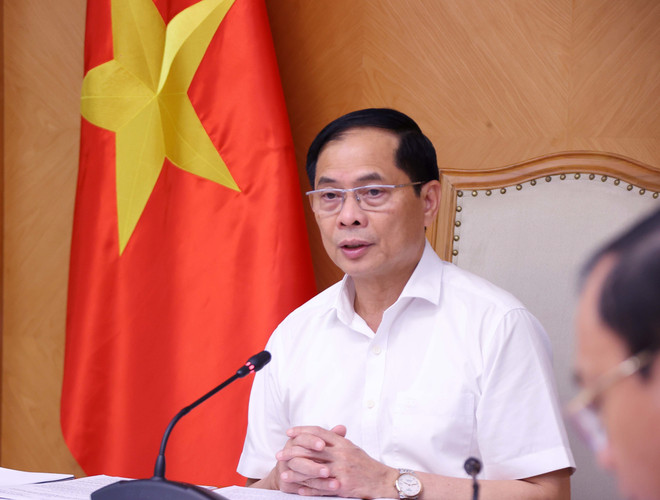 Le vice-Premier ministre et ministre des Affaires étrangères Bui Thanh Son. Photo : VNA bui-thanh-son.jpg