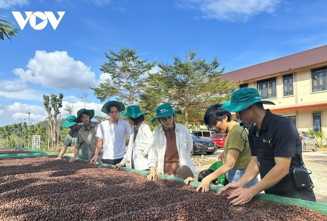 Les touristes découvrent l'une des nombreuses étapes du parcours «de la plantation à la tasse». Photo: VOV de-la-plantation-a-la-tasse.jpg