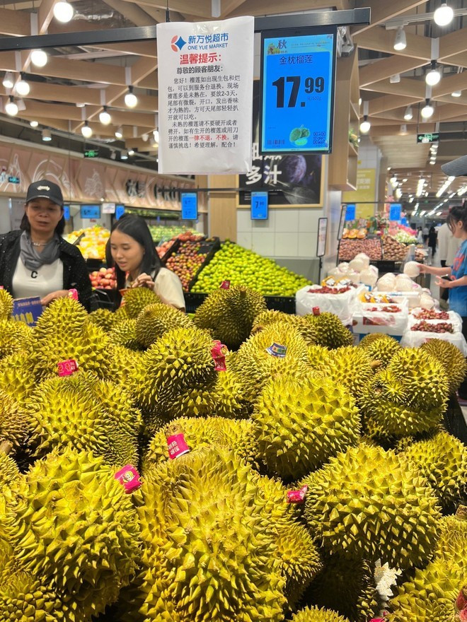 Le durian vietnamien est de plus en plus populaire auprès des consommateurs chinois. Photo : Internet le-durian-vietnamien.jpg