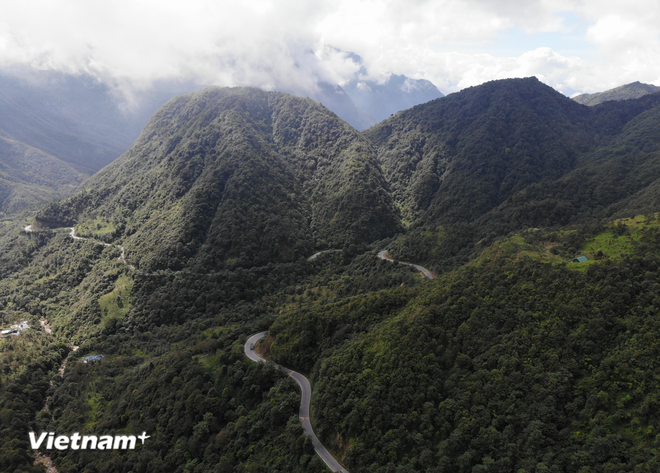 Le Vietnam a actuellement un taux de couverture forestière de plus de 42%. Photo : VietnamPlus couverture-forestiere.png