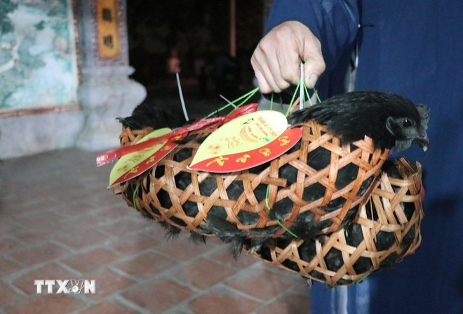 Comme ce marché vendait beaucoup de poulets noirs, il est appelé Gà Ðen et le village Ó. Photo: VNA poulet-noir.jpg