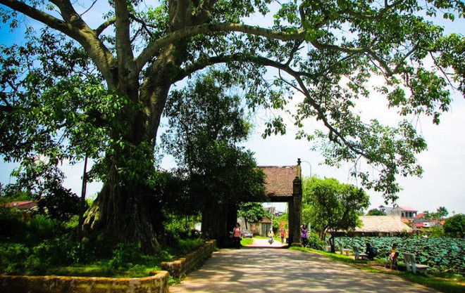 Belle comme une peinture champêtre, Duong Lam accueille les visiteurs avec un portail ancien vieux de plusieurs centaines d’années. Photo: acaciavoyage duong-lam-acaciavoyage.jpg