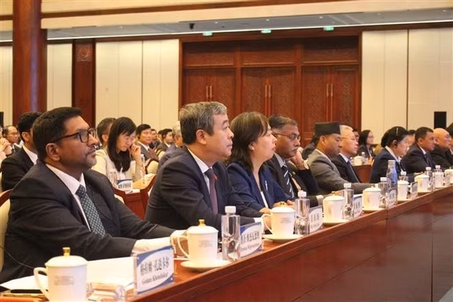 ngo-dong-hai.jpg